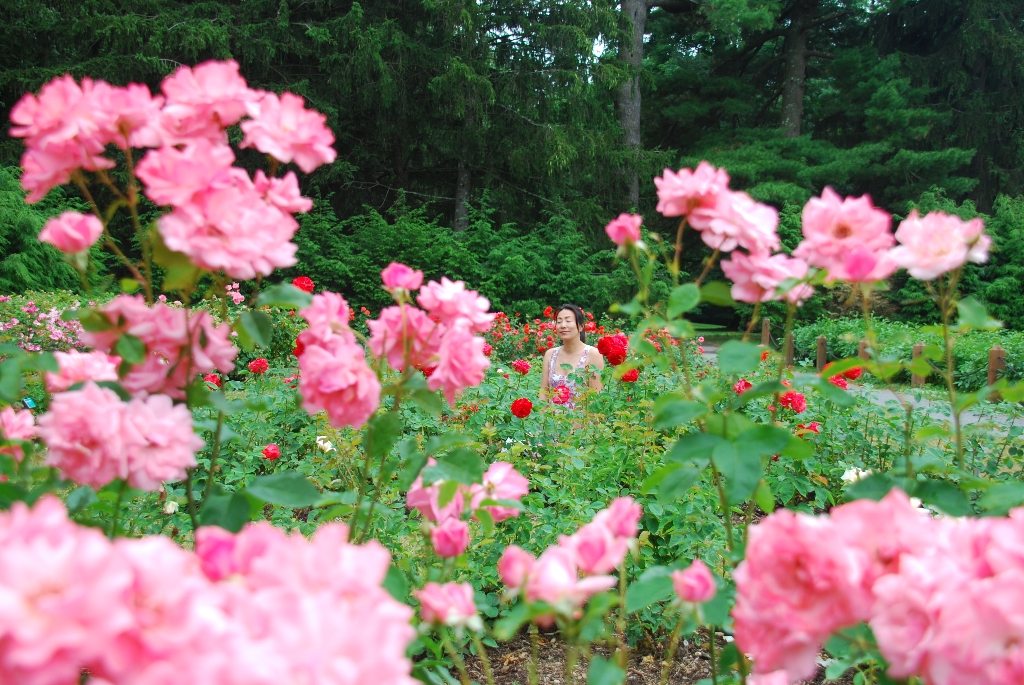DSC_1558.JPG